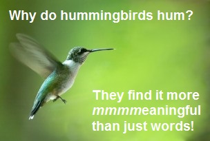 hummingbird-meaning