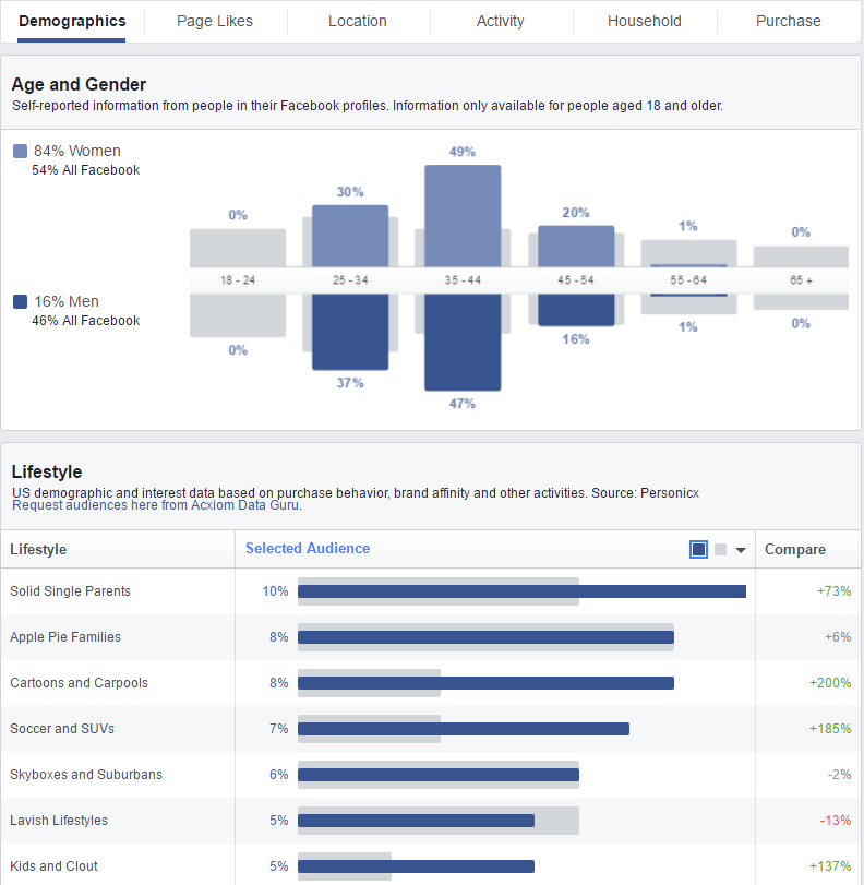 facebook audience insight demographics