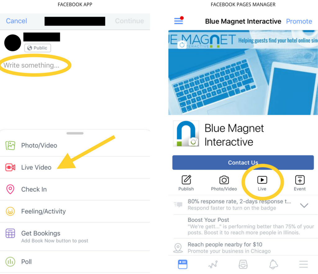 How to Live Stream on Facebook, Instagram, and Twitter  Blue