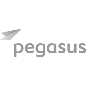 logo pegasus